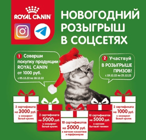 Розыгрыш от Белого кролика